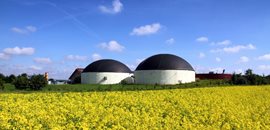 Biomassa verwerking & biogas (anaerobe vergisting)
